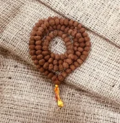 6 Mukhi Rudraksha Mala (छः मुखी रुद्राक्ष माला)