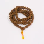 6 Mukhi Rudraksha Mala (छः मुखी रुद्राक्ष माला)