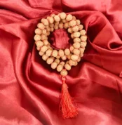 8 Mukhi Rudraksha Mala (आठ मुखी रुद्राक्ष माला)