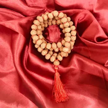 8 Mukhi Rudraksha Mala (आठ मुखी रुद्राक्ष माला)