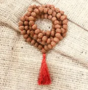 8 Mukhi Rudraksha Mala (आठ मुखी रुद्राक्ष माला)
