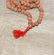 9 Mukhi Rudraksha Mala (नौ मुखी रुद्राक्ष माला)