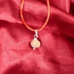 9 Mukhi Rudraksha Pendant (नौ मुखी रुद्राक्ष कवच)