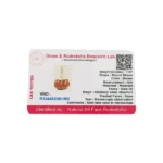 9 Mukhi Rudraksha Pendant (नौ मुखी रुद्राक्ष कवच)