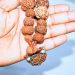 Indrani Siddha Mala, इंद्राणी सिद्ध माला