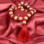 Siddh Rudraksha Kantha Mala (रुद्राक्ष कंठा माला)