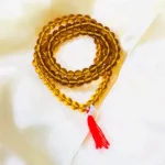 Yogini Mala (योगिनी माला)