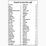 Nitya Karmpath Sangrah Book (नित्य कर्मपाठ संग्रह पुस्तक)