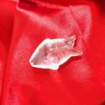 Crystal Fish (स्फटिक मछली)