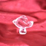 Crystal Fish (स्फटिक मछली)