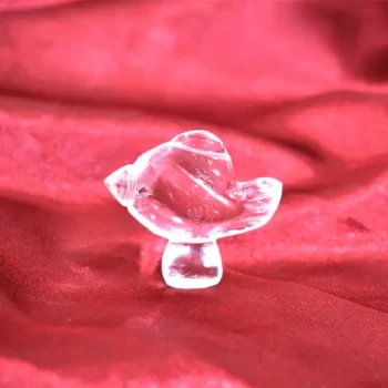 Crystal Fish (स्फटिक मछली)