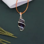 Narmadeshwar Shivling Pendant (नर्मदेश्वर शिवलिंग कवच)