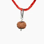 12 Mukhi Rudraksha Pendant (बारह मुखी रुद्राक्ष कवच)