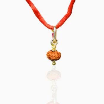 13 Mukhi Rudraksha Pendant, तेरह मुखी रुद्राक्ष कवच