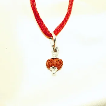 13 Mukhi Rudraksha Pendant, तेरह मुखी रुद्राक्ष कवच
