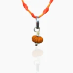 14 Mukhi Rudraksha Pendant, चौदह मुखी रुद्राक्ष कवच
