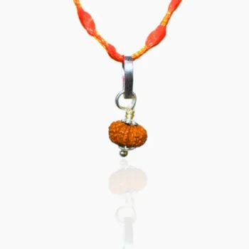 14 Mukhi Rudraksha Pendant, चौदह मुखी रुद्राक्ष कवच