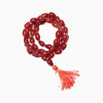 Dhurjata Mala (धुर्जाटा माला)