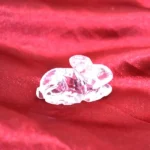 Crystal Rabbit (स्फटिक खरगोश)