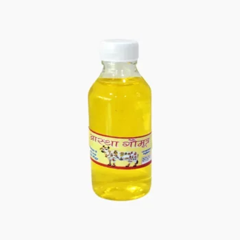 Gau Mutra, Cow Urine गौ मूत्र
