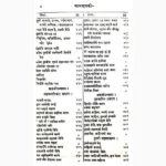 Kama Sutram Book (कामसूत्रम् पुस्तक)