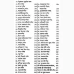 Kaulik Tantra Sadhana Book (कौलिक तंत्र साधना पुस्तक)