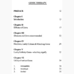 Gems Therapy Book
