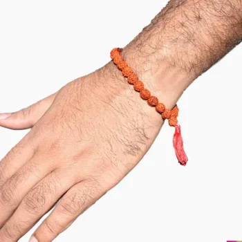 5 Mukhi Rudraksha Bracelet, 5 मुखी रुद्राक्ष ब्रेसलेट, Panch Mukhi Rudraksha Bracelet