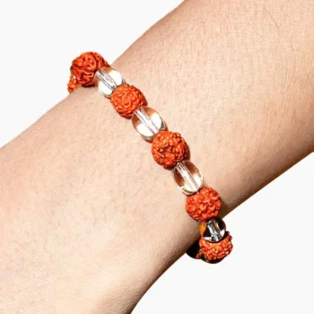 Rudraksha Sphatik Bracelet, Rudraksh Crystal Bracelet, रुद्राक्ष स्फटिक ब्रेसलेट