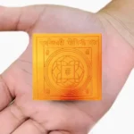 Bhuwaneshwari Yogini Yantra, भुवनेश्वरी योगिनी यंत्र
