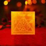 Deh Chaitanya Yantra, देह चैतन्य यंत्र