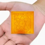 Energized Jagdamba Yantra, Jagdamba Puja Yantra, Jagdamba Pratyaksh Darshan Yantra