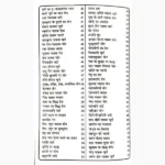 Desi Jadi Butiyon Se Ilaj Book (देसी जड़ी बुटियों से इलाज पुस्तक)
