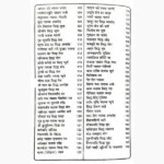 Desi Jadi Butiyon Se Ilaj Book (देसी जड़ी बुटियों से इलाज पुस्तक)