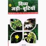 Divya Jadi Butiyan Book (दिव्य जड़ी बूटियां पुस्तक)