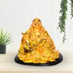 Coin Laughing Buddha (लाफिंग बुद्धा)
