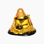 Coin Laughing Buddha (लाफिंग बुद्धा)