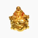 Fengshui Coin Buddha (लक्की बुद्धा)