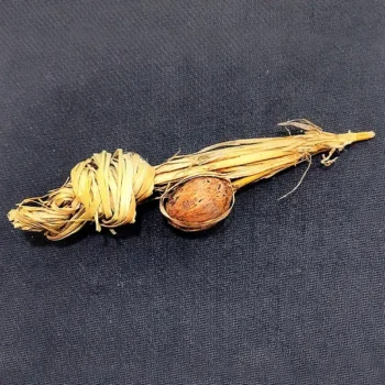 Kush Ka Banda (कुश का बांदा)