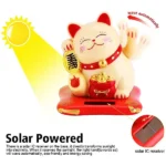 Lucky Fengshui Cat (लकी कैट)