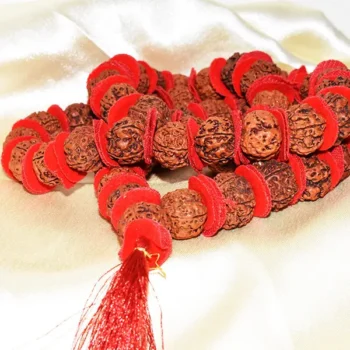 Rudraksh Kantha Mala (रुद्राक्ष कंठा माला)