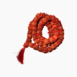 Rudraksh Kantha Mala (रुद्राक्ष कंठा माला)