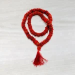 Rudraksh Kantha Mala (रुद्राक्ष कंठा माला)