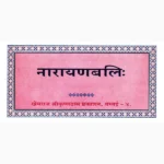 Narayan Bali Book (नारायण बलि पुस्तक)