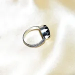 Shaligram Ring (शालिग्राम अंगूठी)