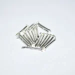 Chandi Ki Keel (चाँदी की कील)