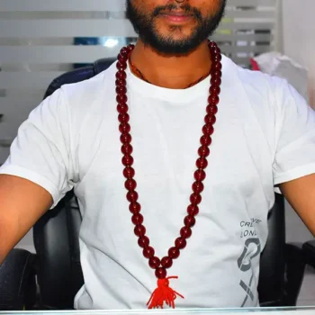 Surya Kantha Mala (सूर्य कंठा माला)