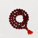 Surya Kantha Mala (सूर्य कंठा माला)