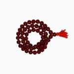 Surya Kantha Mala (सूर्य कंठा माला)
