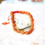 3 Mukhi Rudraksha Bracelet, 3 मुखी रुद्राक्ष ब्रेसलेट, Three Face Rudraksha Bracelet